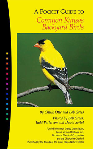 KS Birds Free PDF Cover